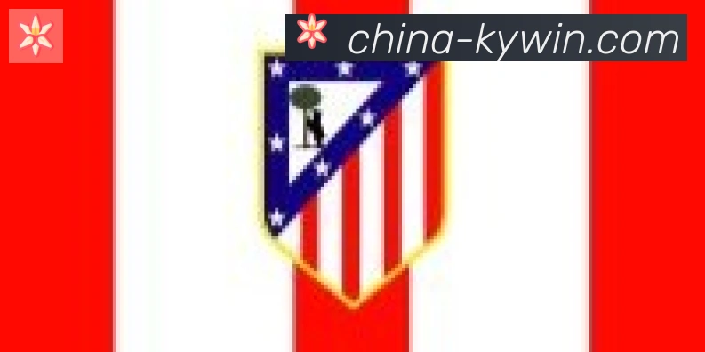 开云APP合作伙伴